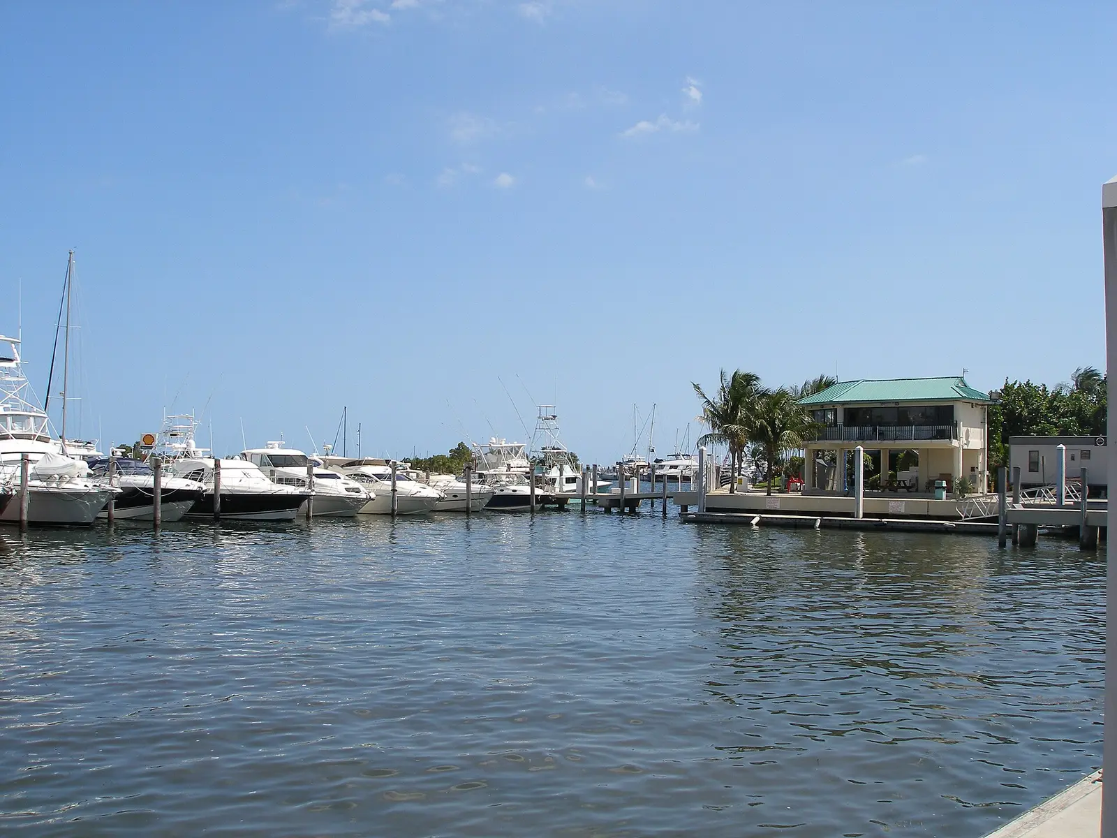 La marina de Coconut Grove et ses bateaux