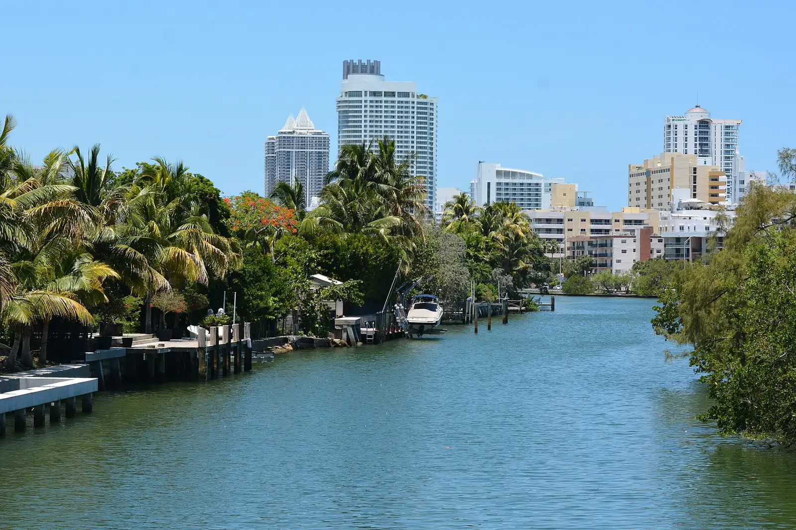 Un canal bordé de palmiers à North Beach